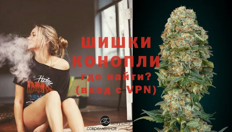 купить наркотик  mega ONION  Конопля OG Kush  Жуковский 